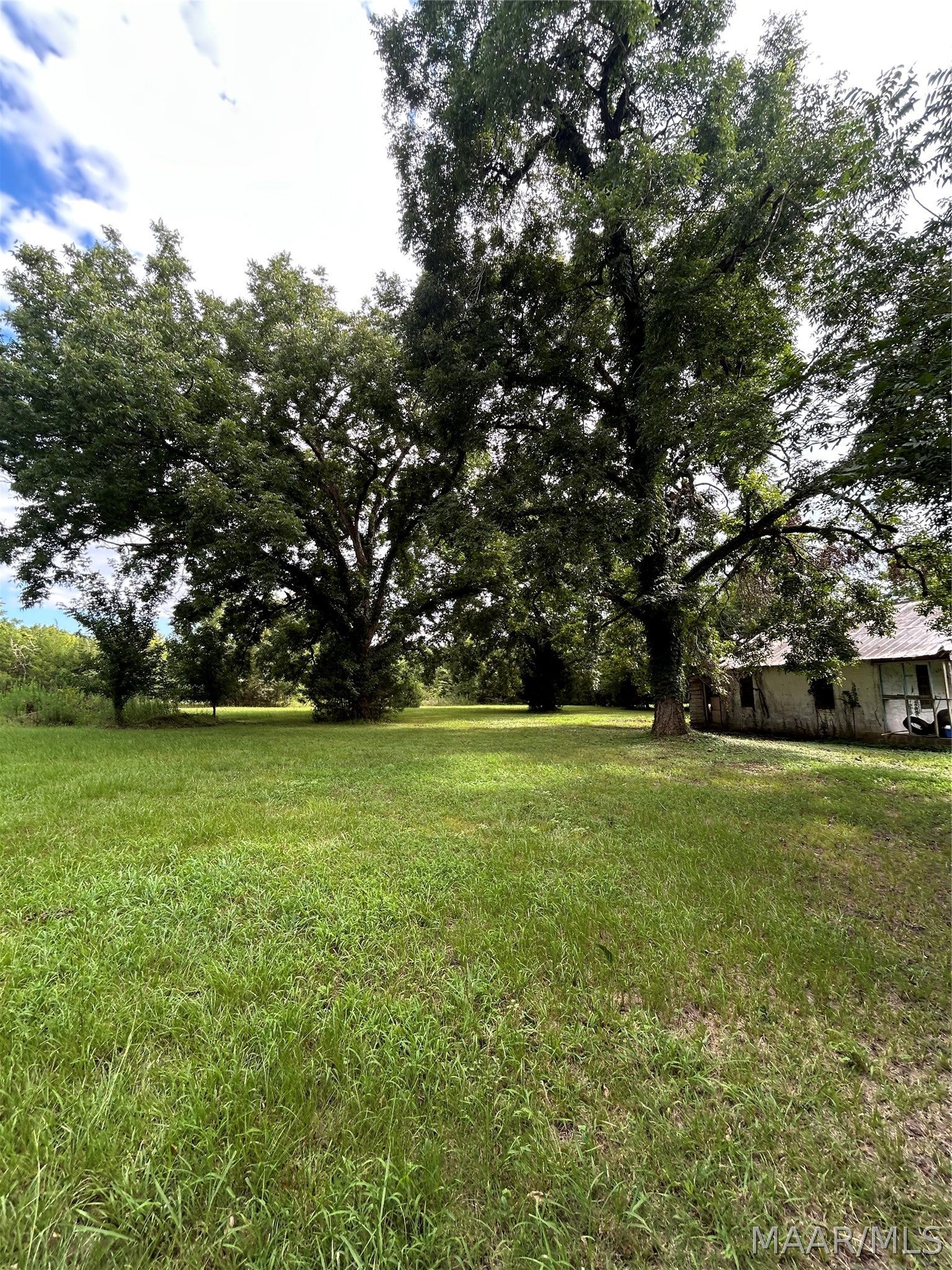 339 Darlington Road Camden, AL 36726 - Photo 3 of 21 Gallery Image 3