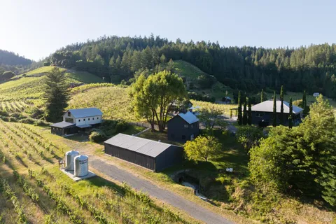 $2,995,000 | 8781 Martinelli Road, Forestville, CA 95436