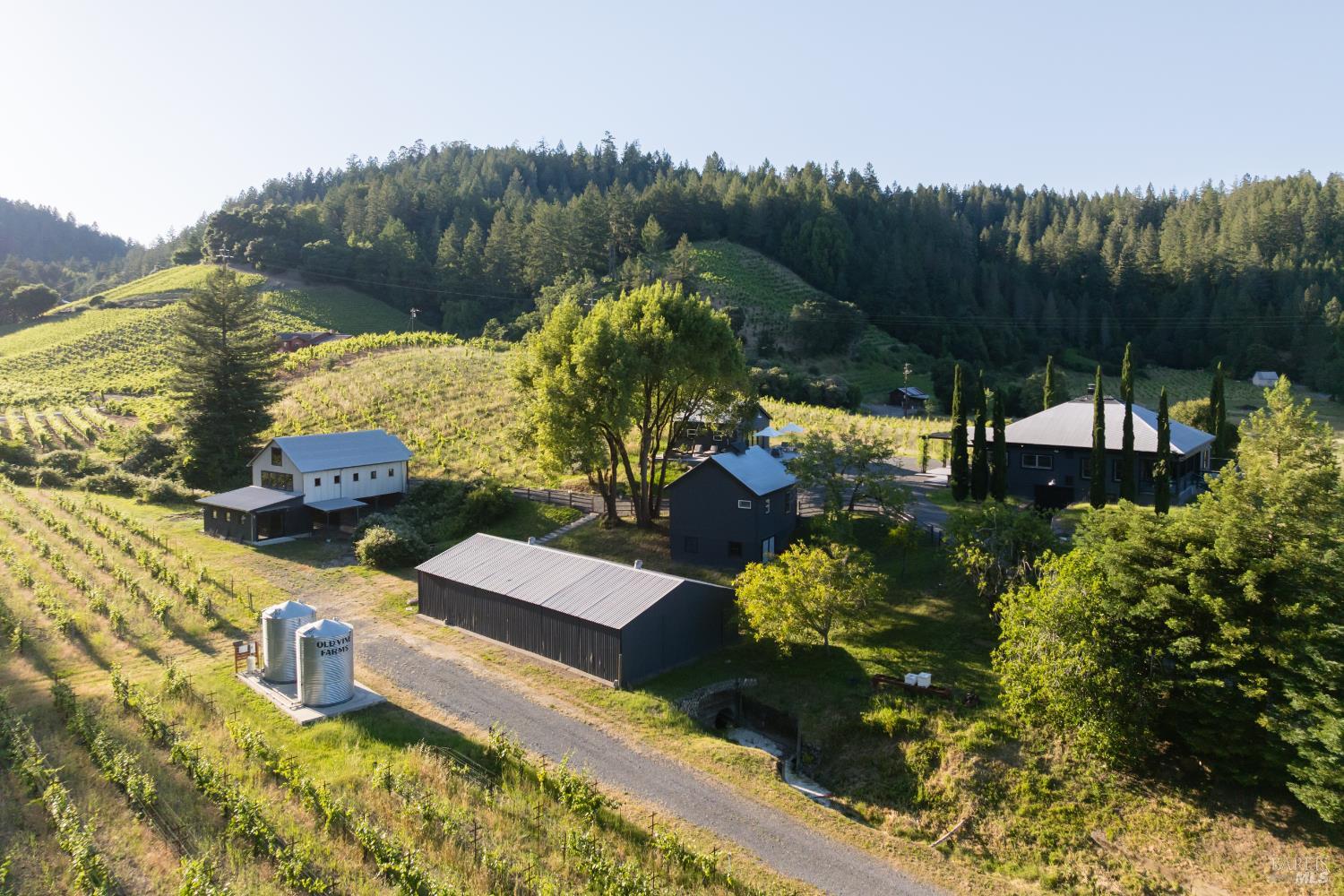 8781 Martinelli Road Forestville, CA 95436 - Photo 40 of 47