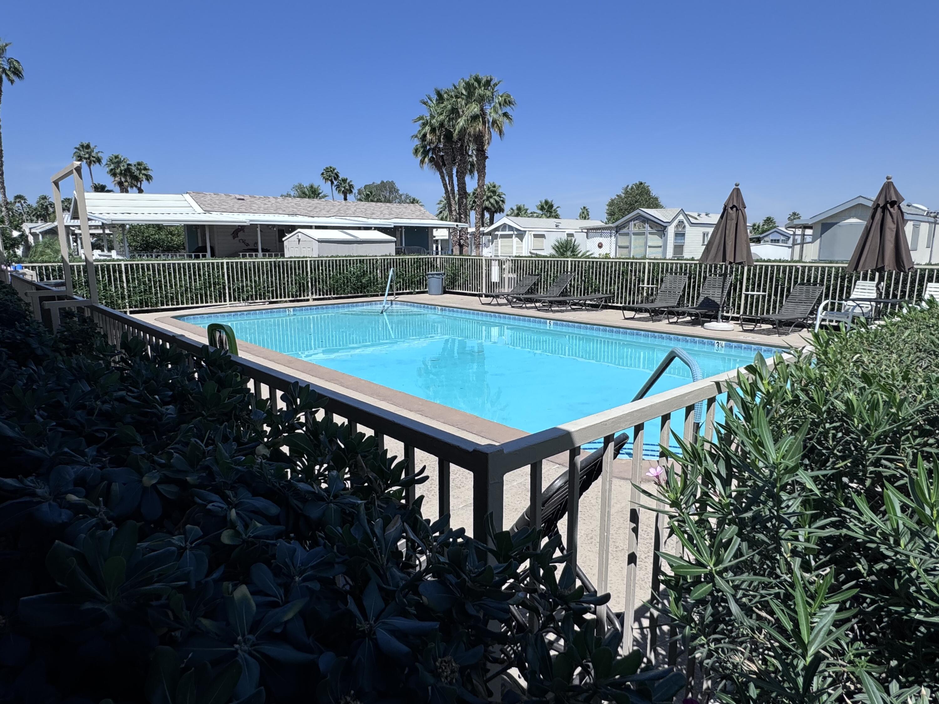 81620 Ave 49, Unit 160B Indio, CA 92201 - Photo 12 of 18 a view of a swimming pool with a patio and a garden