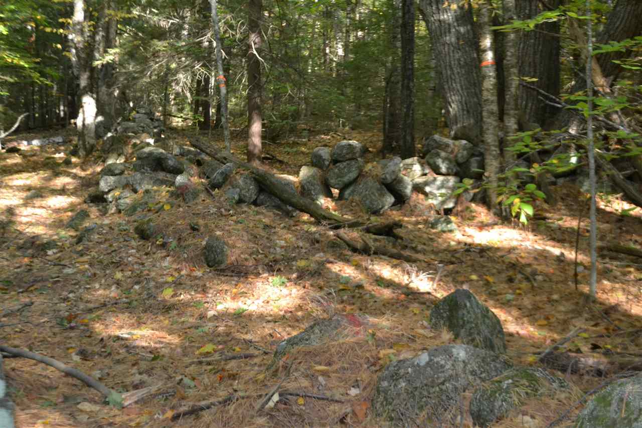 99 Old Stage Road Meredith, NH 03253 - Photo 11 of 25