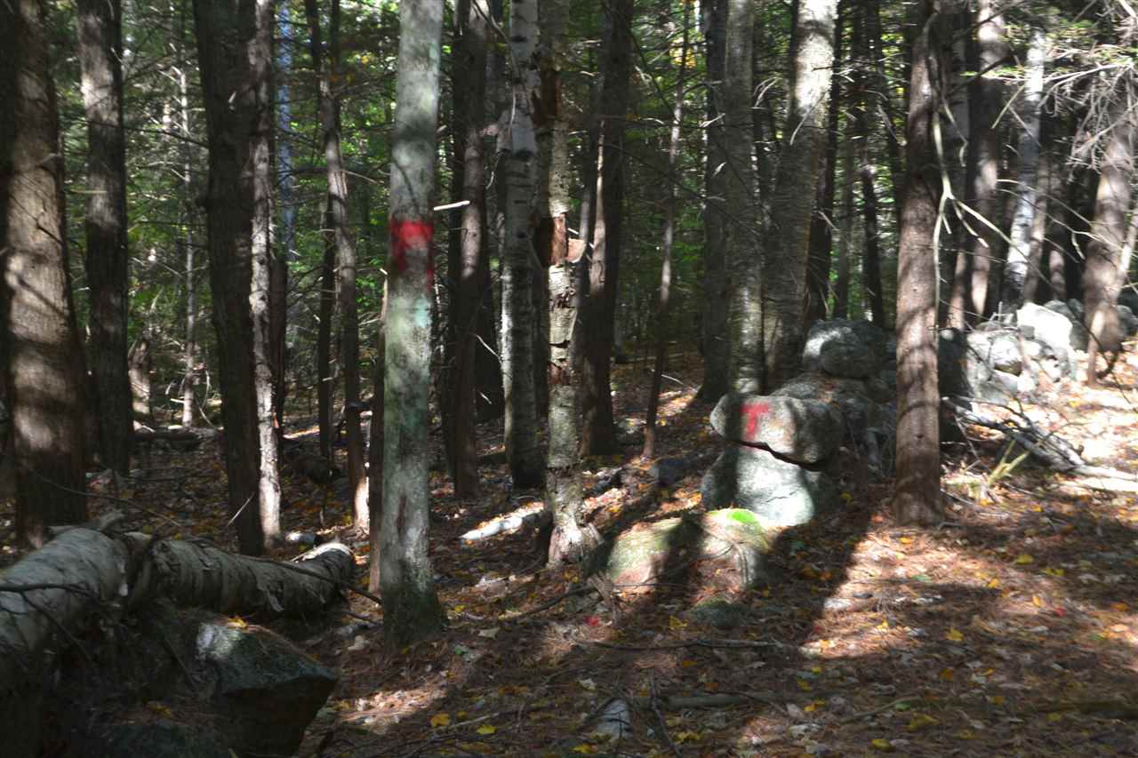 99 Old Stage Road Meredith, NH 03253 - Photo 10 of 25