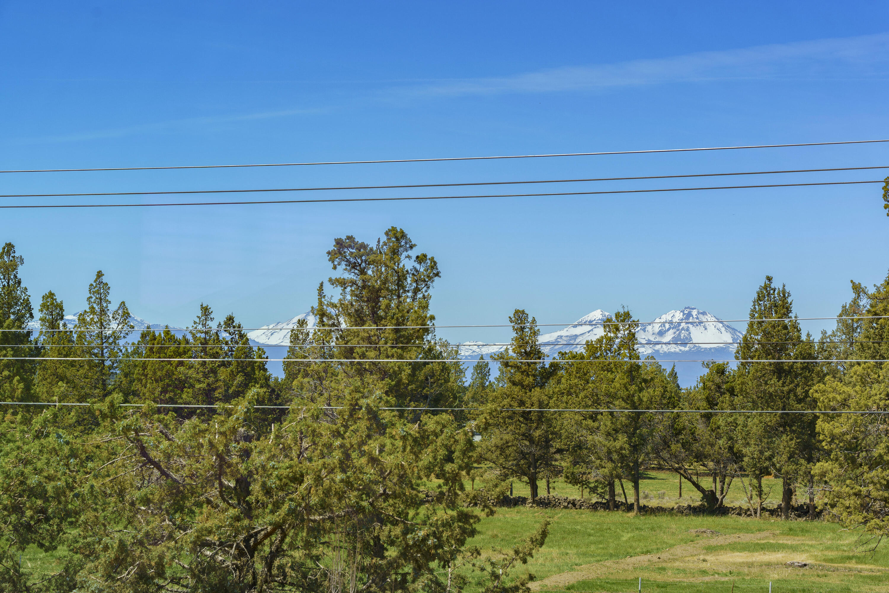 4999 Southwest Yew Place Redmond, OR 97756 - Photo 42 of 50 a view of a garden