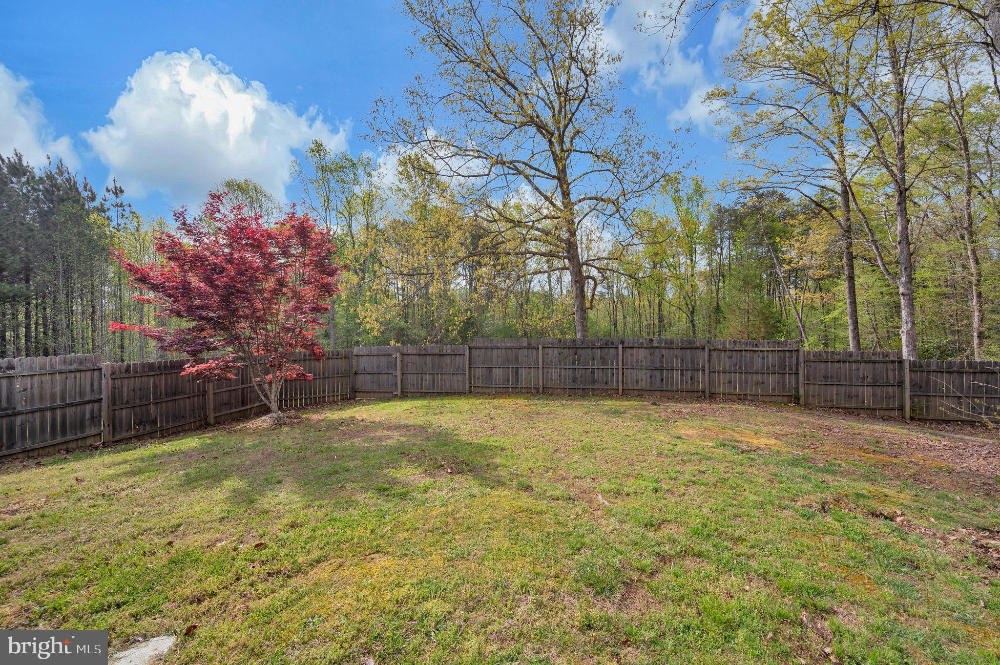 11326 Wheeler Road Spotsylvania, VA 22551 - Photo 41 of 56