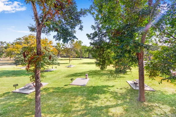 a view of yard with large trees and plants
