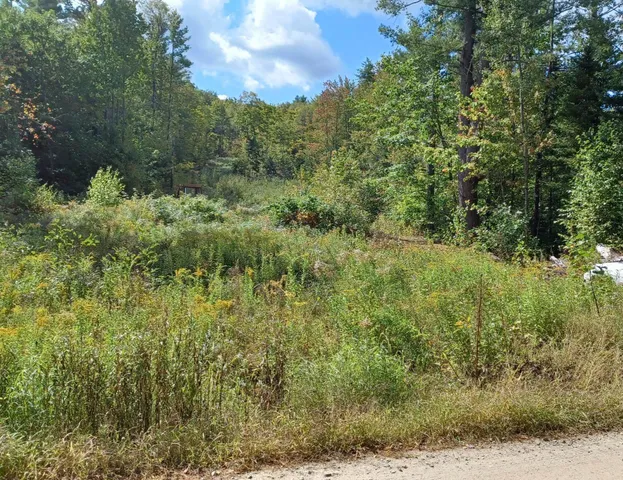 $125,000 | 8 North Wakefield Road, Unit 8, Wolfeboro, NH 03894