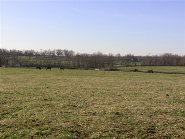 329 Hawkins - Cummins Road Paris, KY 40361 - Photo 1 of 10 Photo 1
