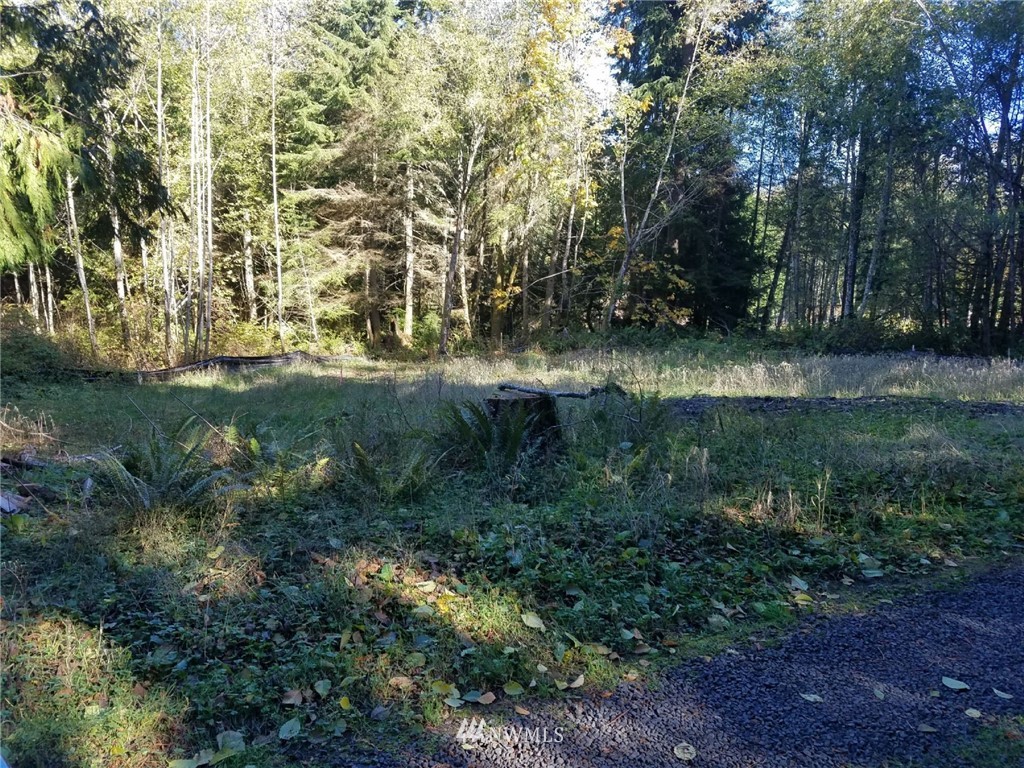 8925 Southeast View Park Road Port Orchard, WA 98367 - Photo 1 of 7 Gallery Image 1