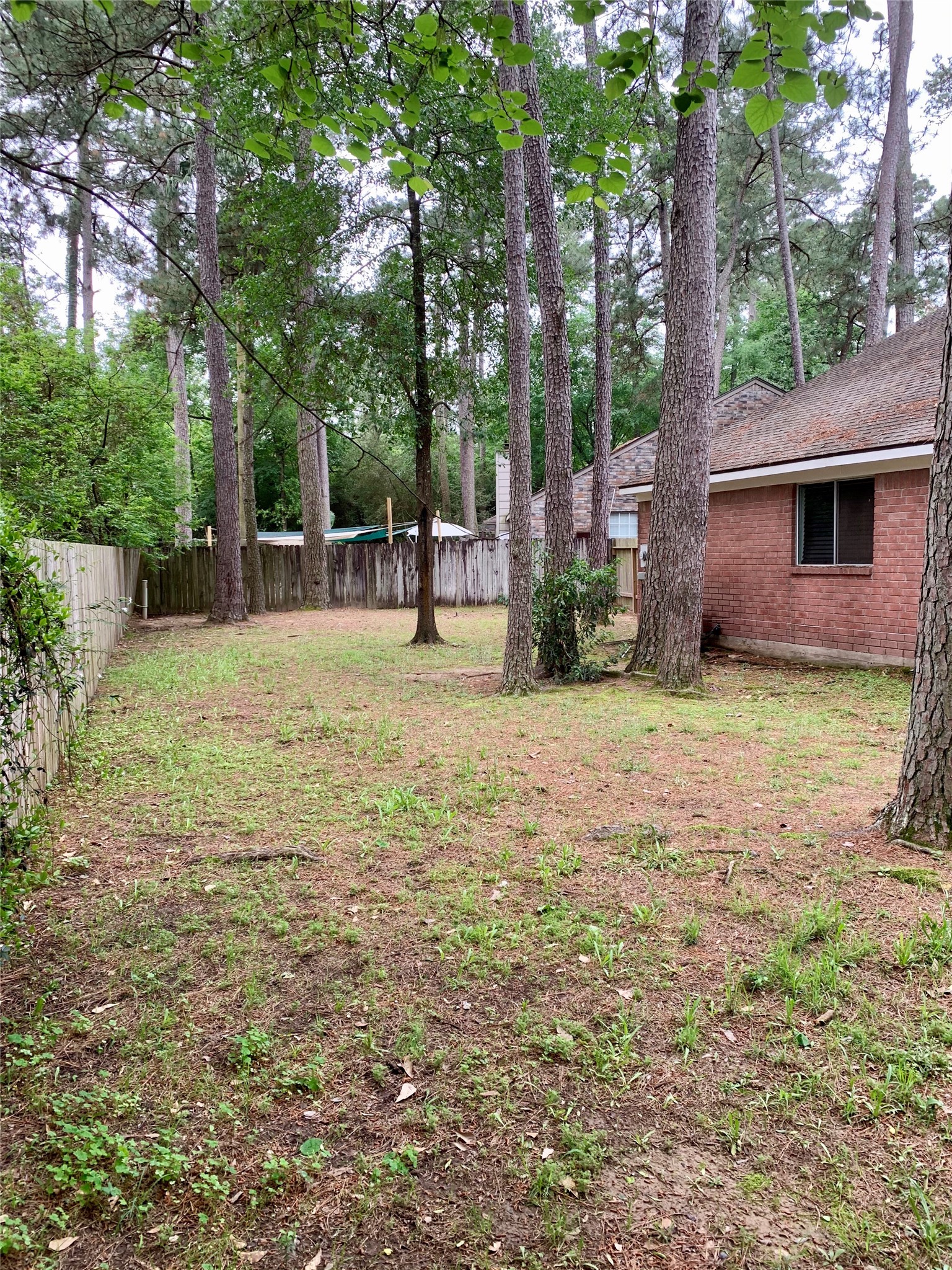 75 East Village Knoll Circle Spring, TX 77381 - Photo 29 of 33 a backyard of a house with yard and outdoor seating