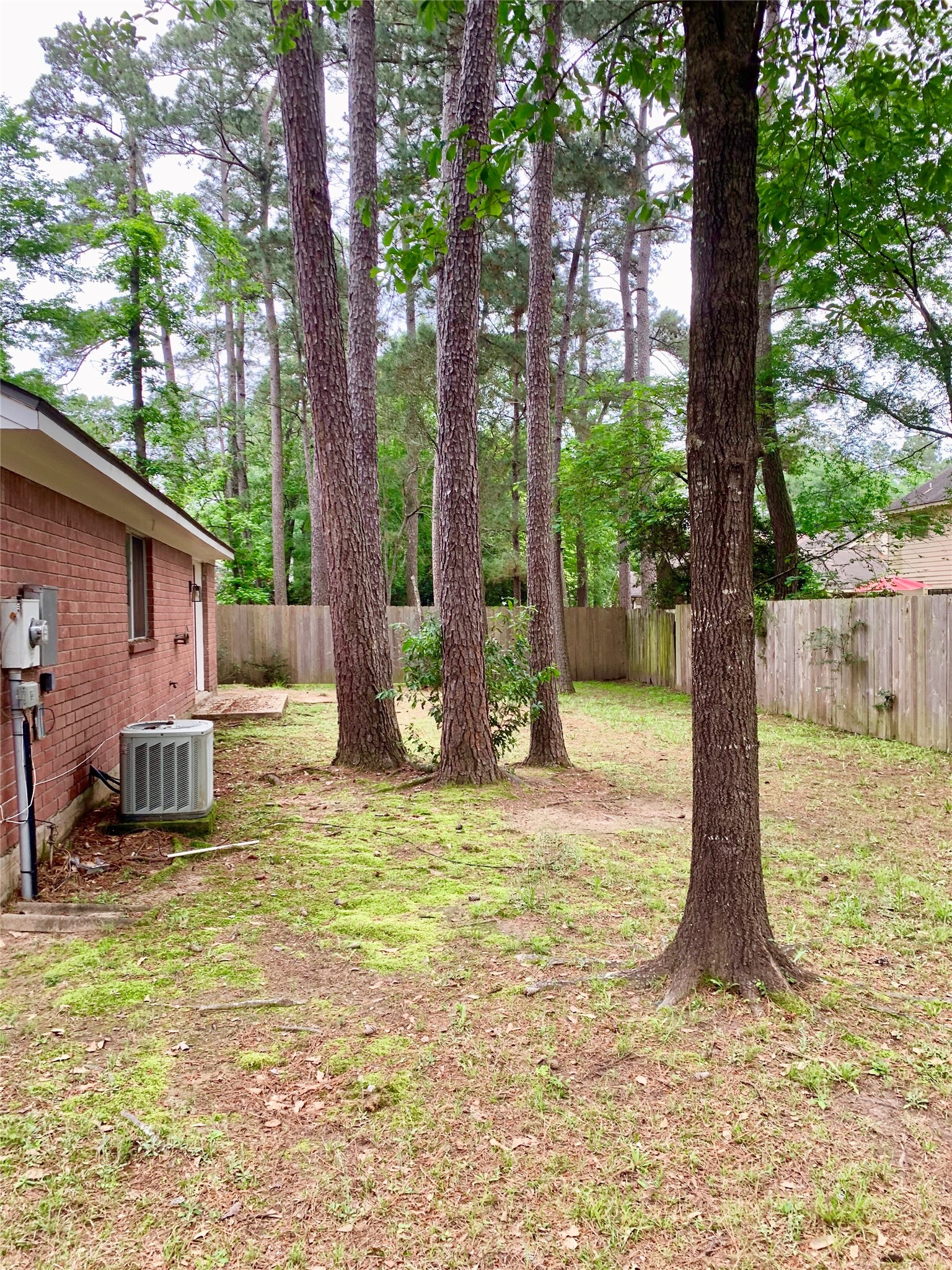 75 East Village Knoll Circle Spring, TX 77381 - Photo 33 of 33 a view of a house with backyard and tree