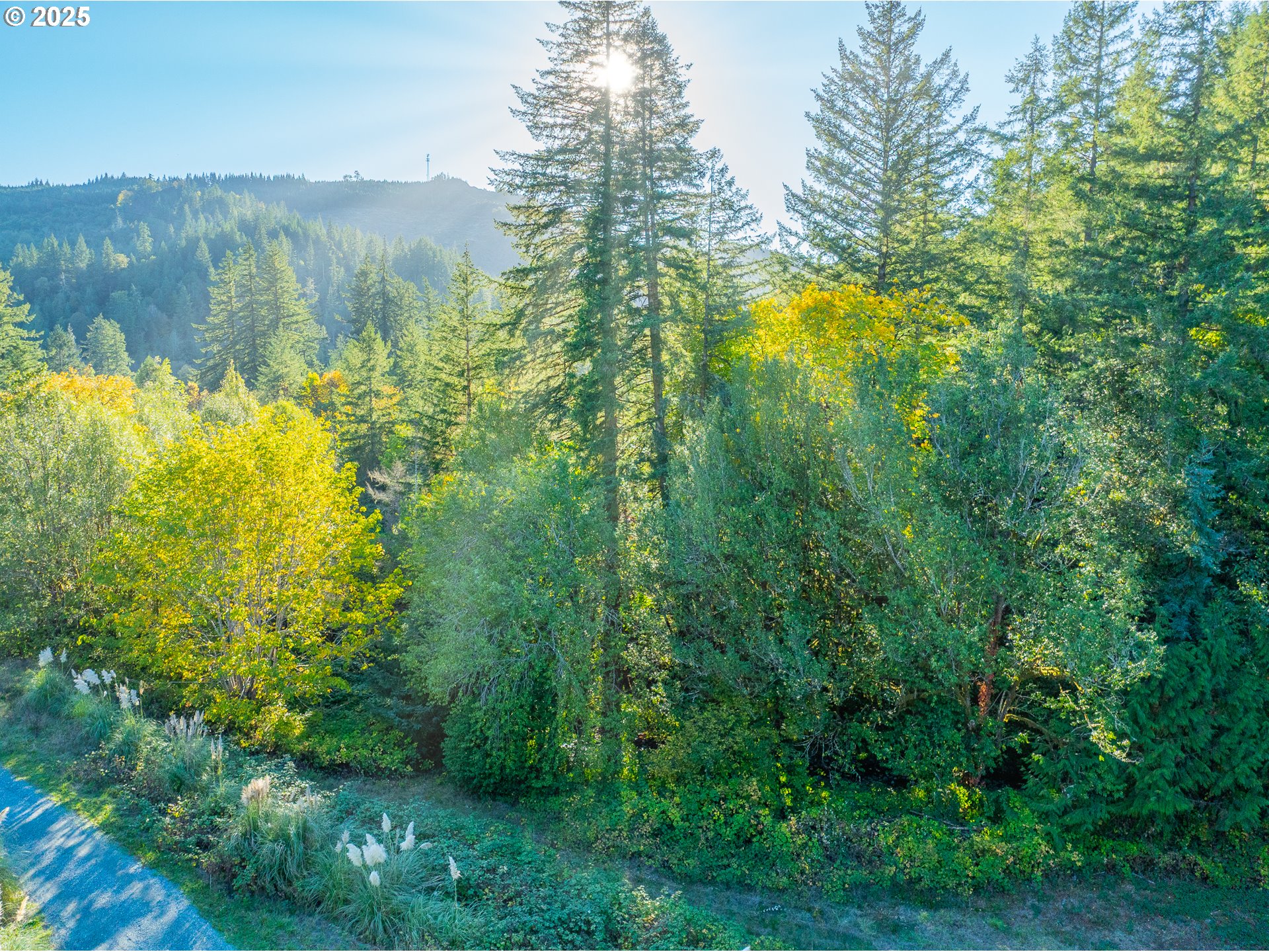 20191 Highway 42 Myrtle Point, OR 97458 - Photo 3 of 41 a view of a lake and green valley