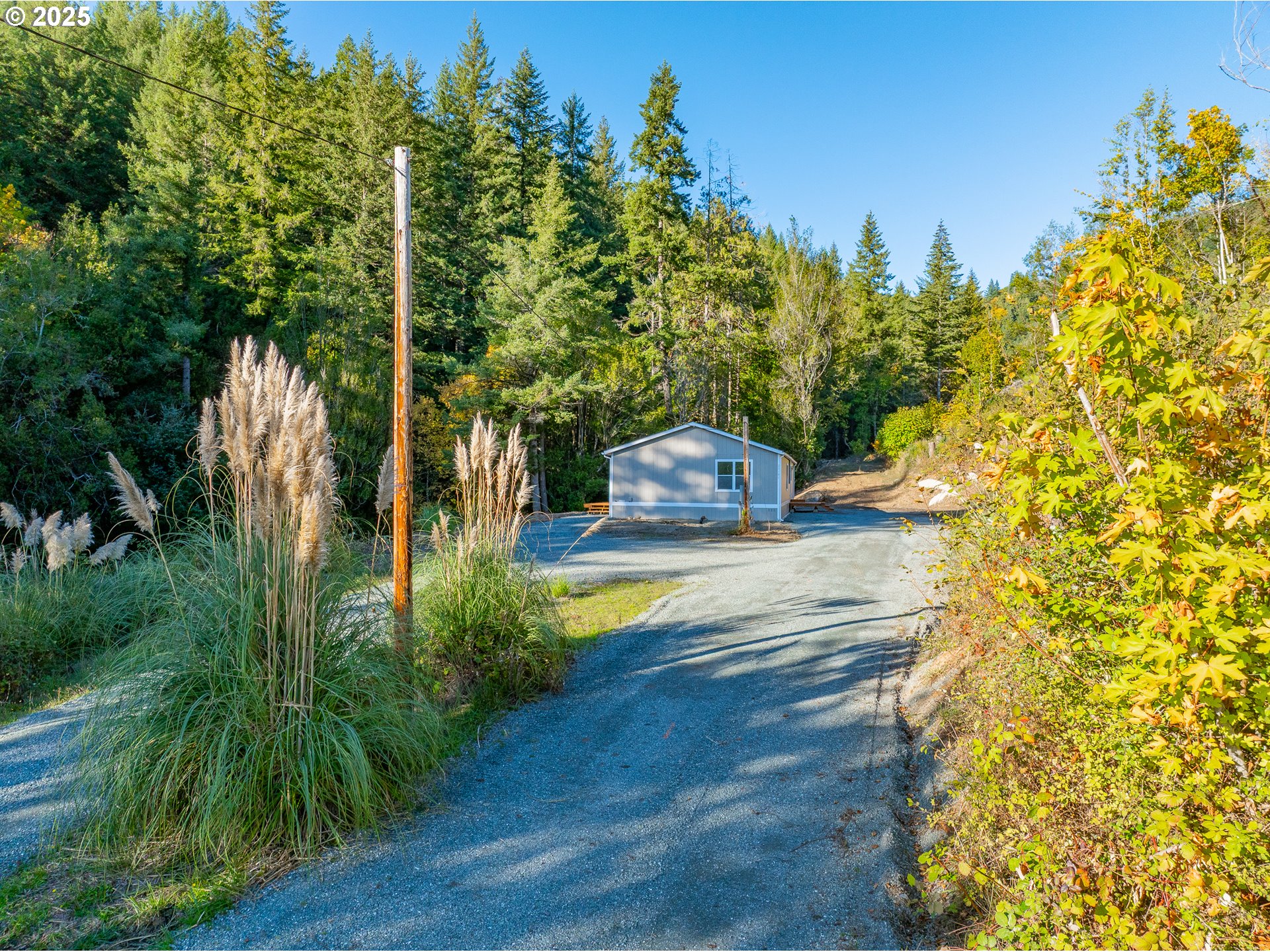 20191 Highway 42 Myrtle Point, OR 97458 - Photo 38 of 41 a view of a yard with plants