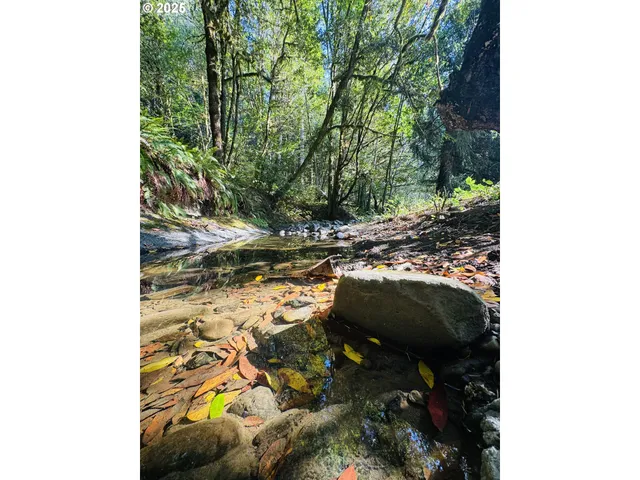 a view of outdoor space