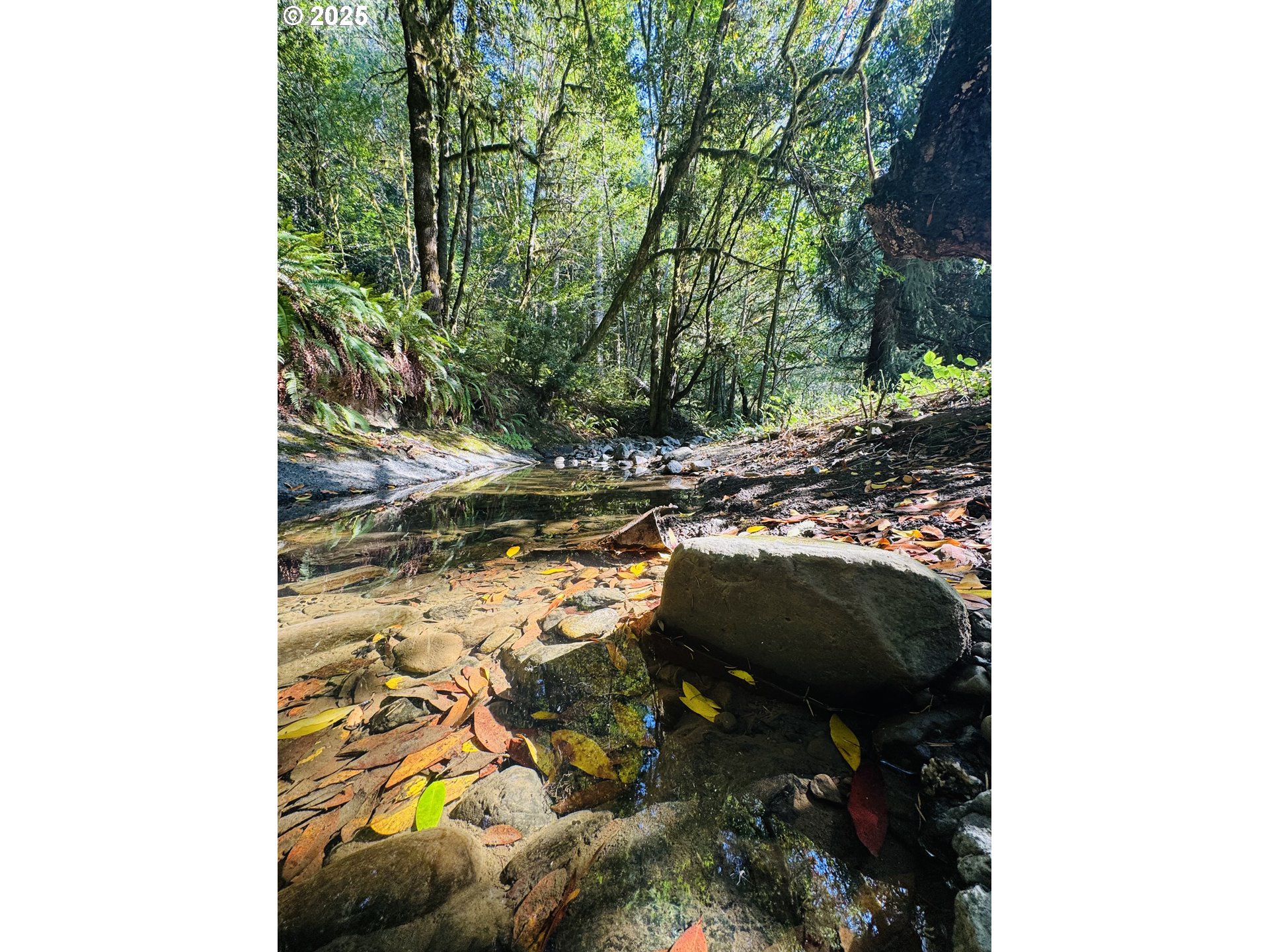 20191 Highway 42 Myrtle Point, OR 97458 - Photo 4 of 41 a view of outdoor space