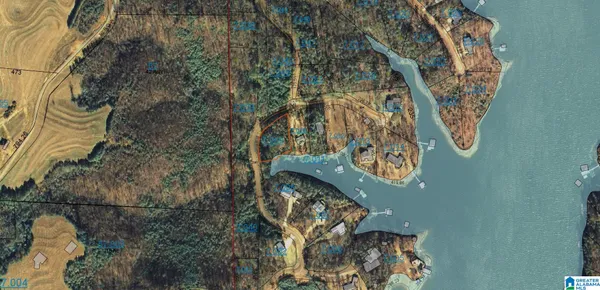 $99,900 | Lot 8 County Road 283, Unit 8, Arley, AL 35541