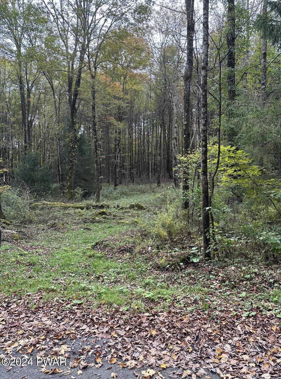Upper Woods Road Pleasant Mount, PA 18453 - Photo 1 of 10