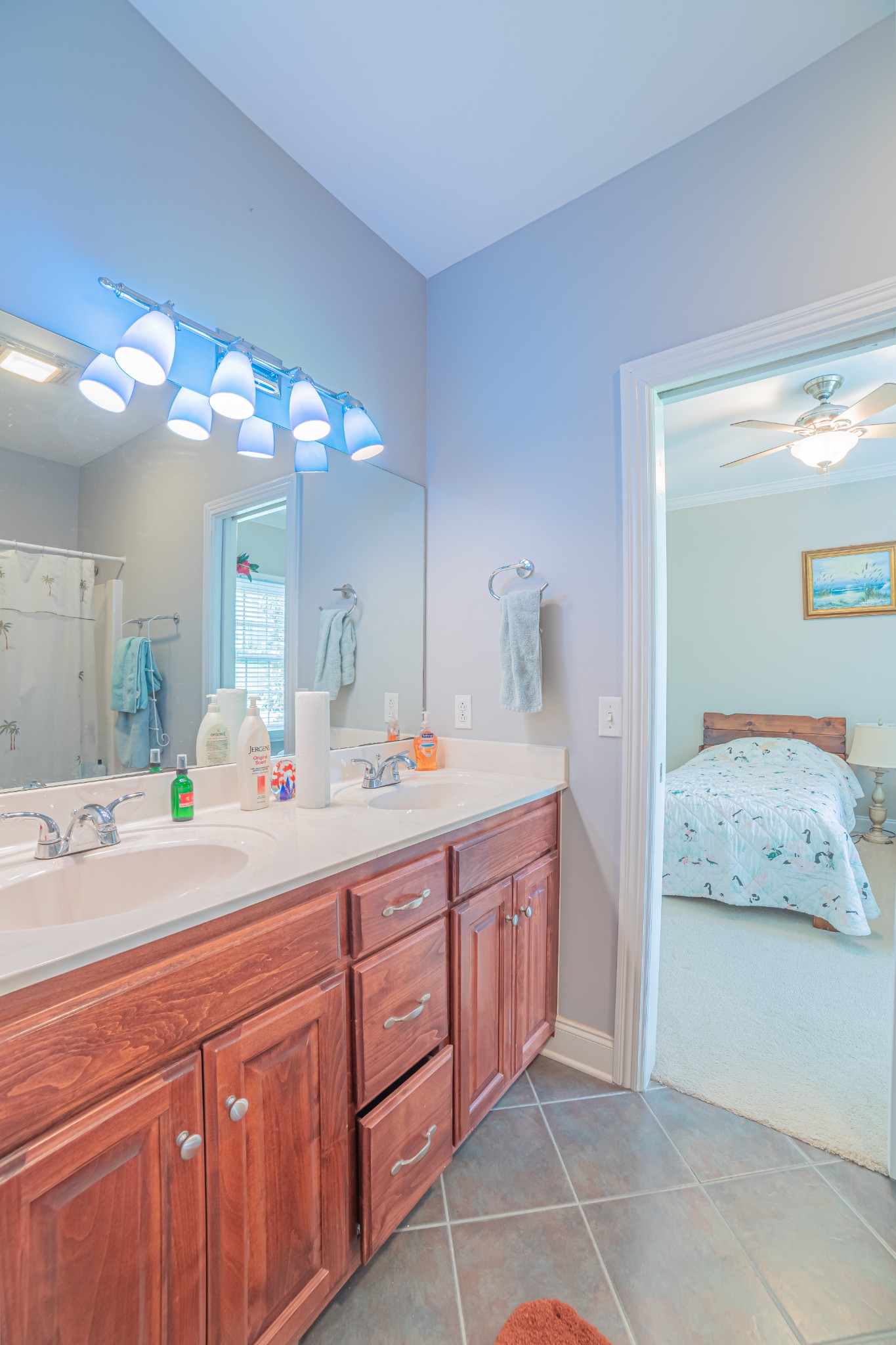 2828 Bains Road Hillsboro, TN 37342 - Photo 48 of 50 a spacious bathroom with a double vanity sink and a mirror