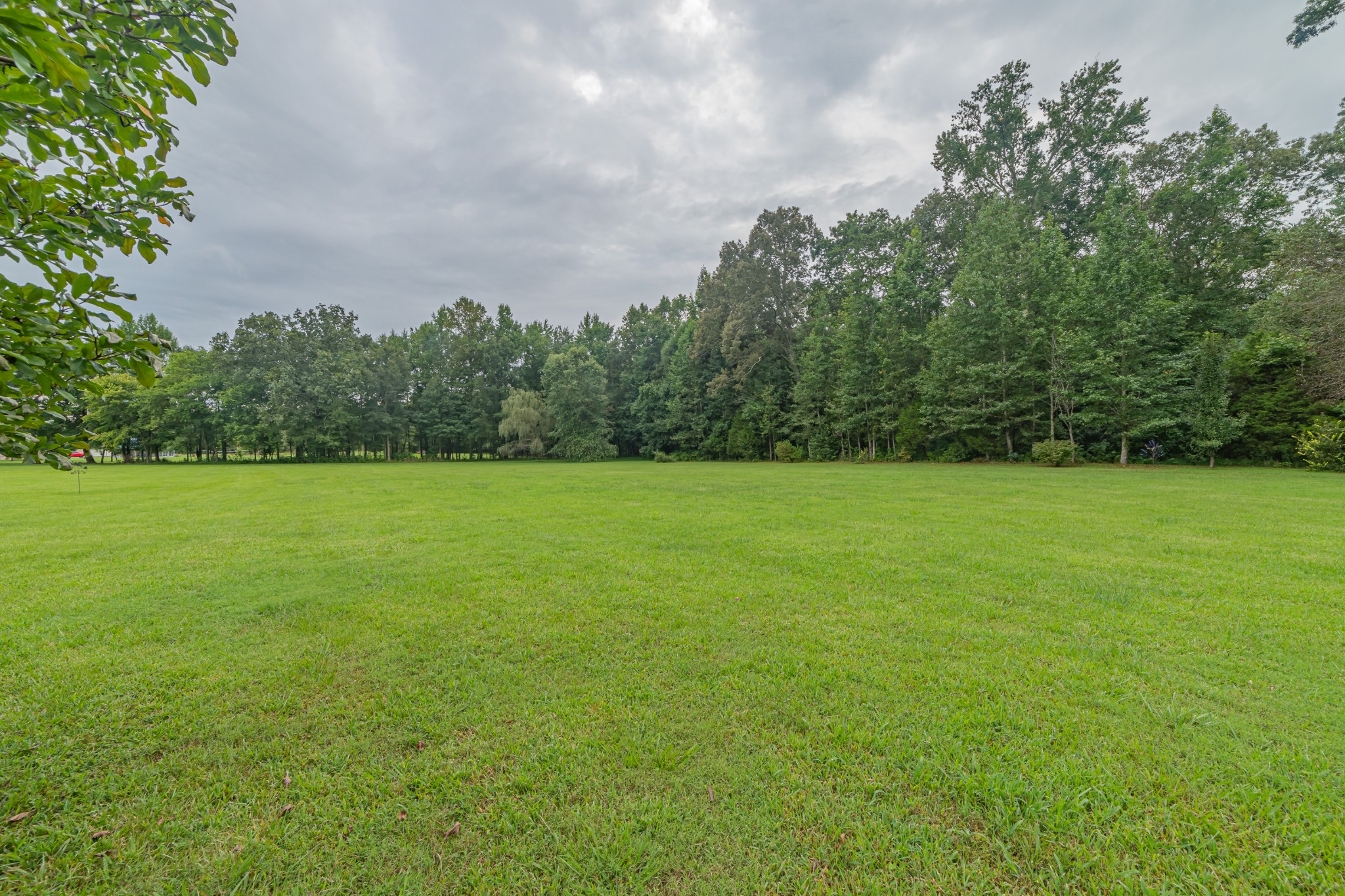 2828 Bains Road Hillsboro, TN 37342 - Photo 7 of 50 a view of a green field with trees in the background