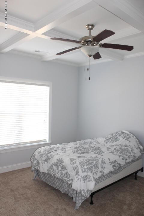 503 Diamond Ridge Court Hubert, NC 28539 - Photo 23 of 36 Master bedroom