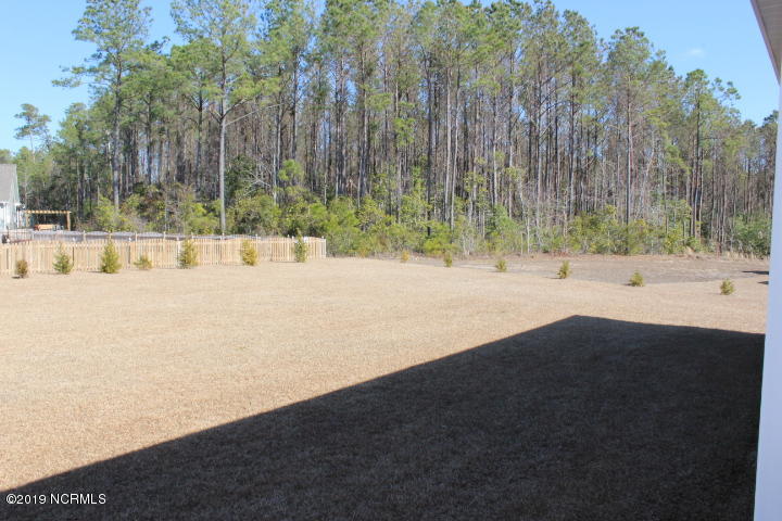 503 Diamond Ridge Court Hubert, NC 28539 - Photo 34 of 36 Back yard