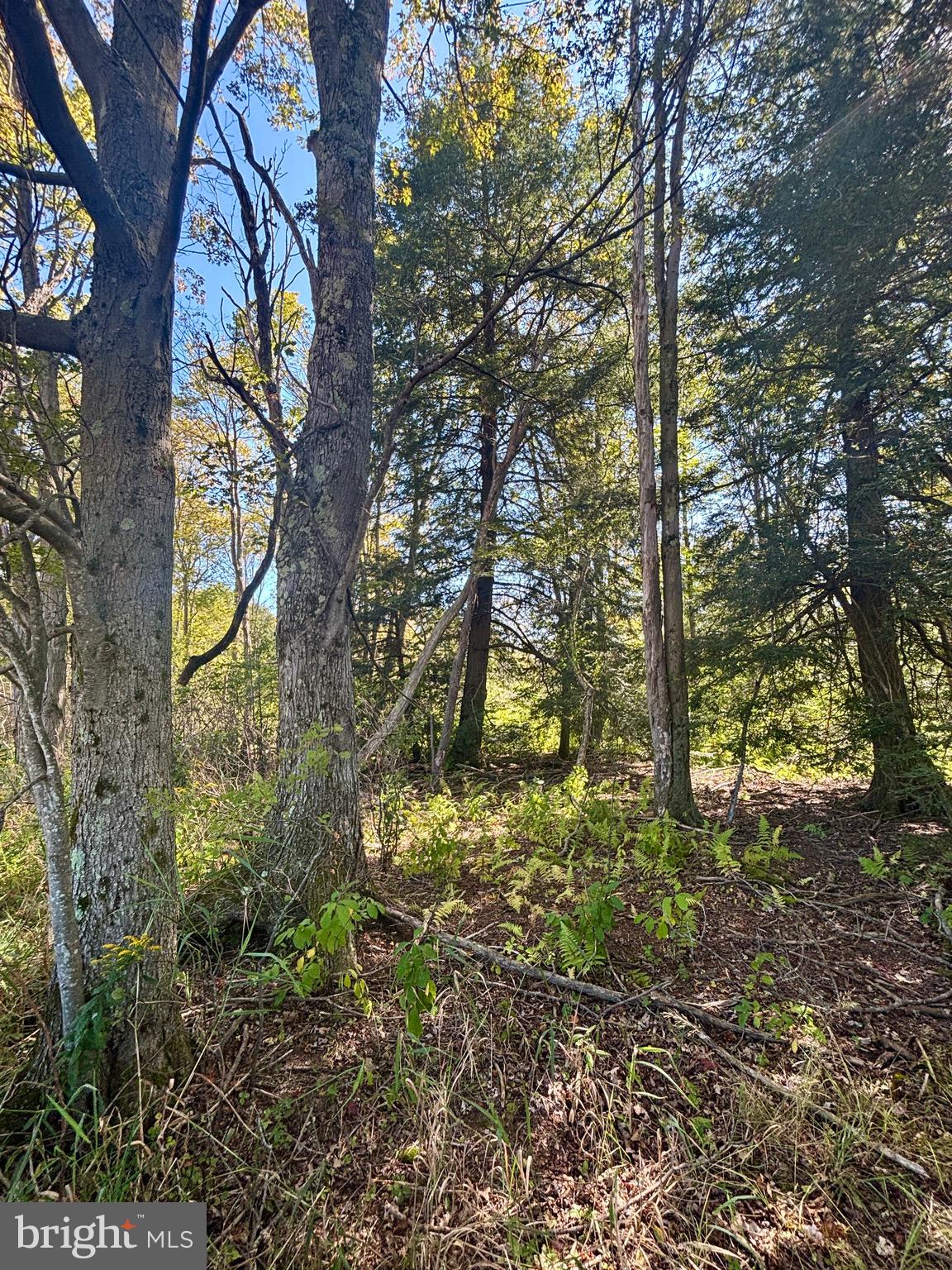 1360 Coleman Station Road Friedens, PA 15541 - Photo 11 of 20