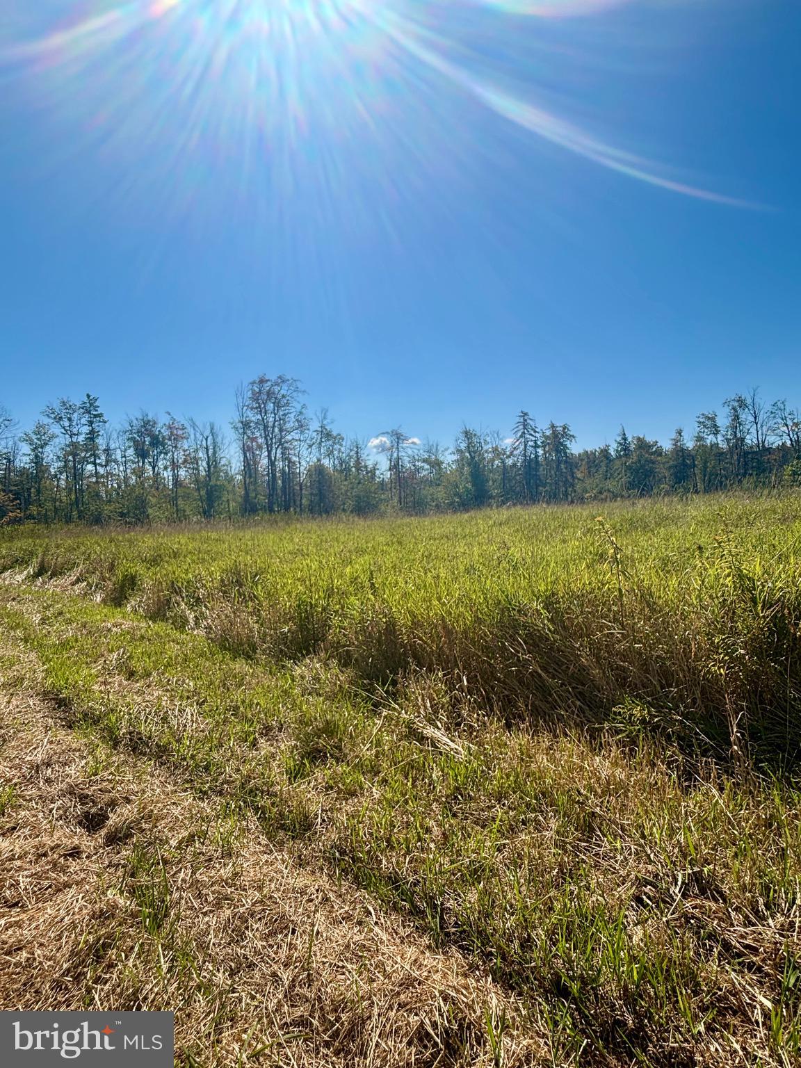 1360 Coleman Station Road Friedens, PA 15541 - Photo 14 of 20