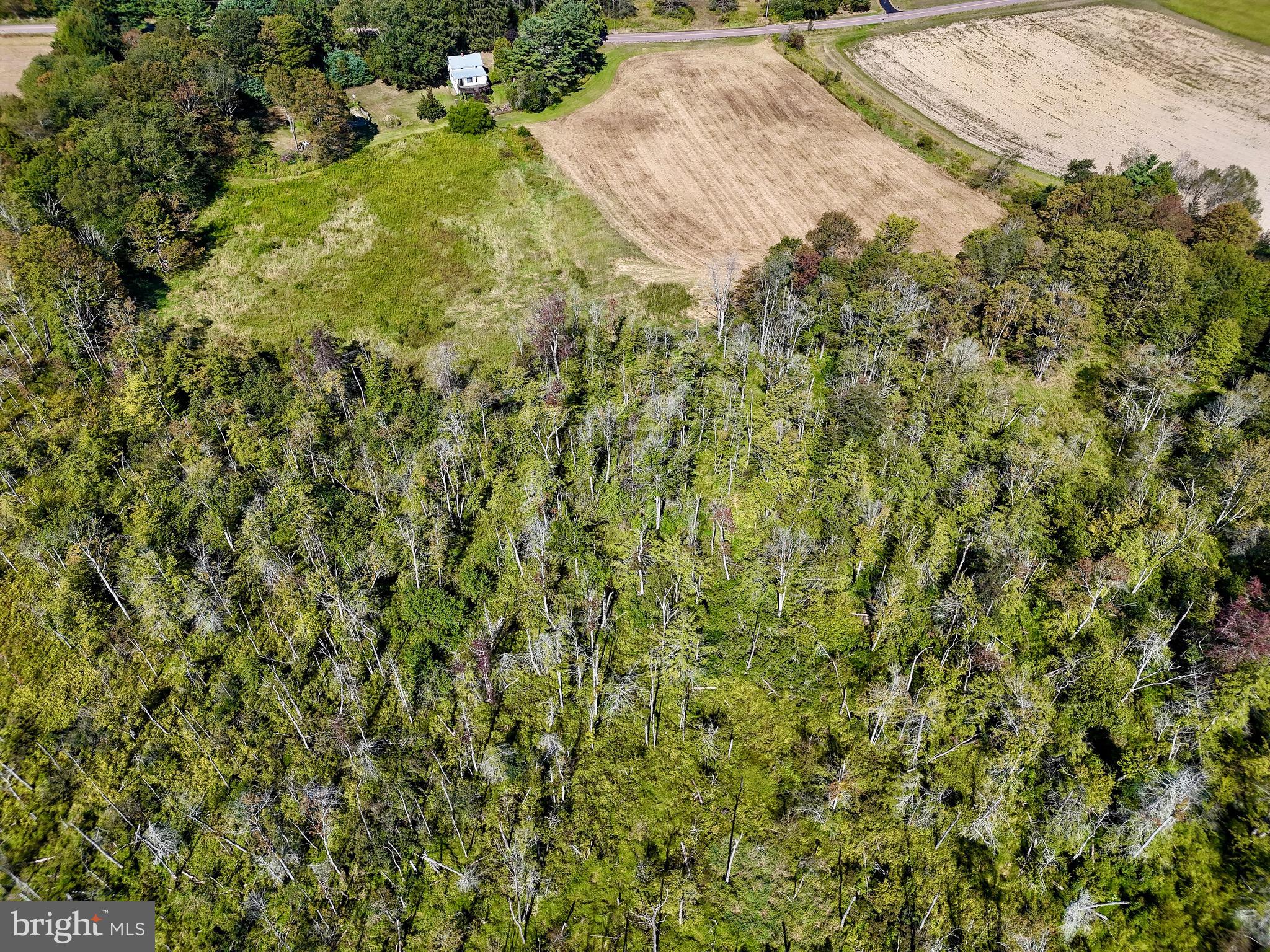 1360 Coleman Station Road Friedens, PA 15541 - Photo 20 of 20