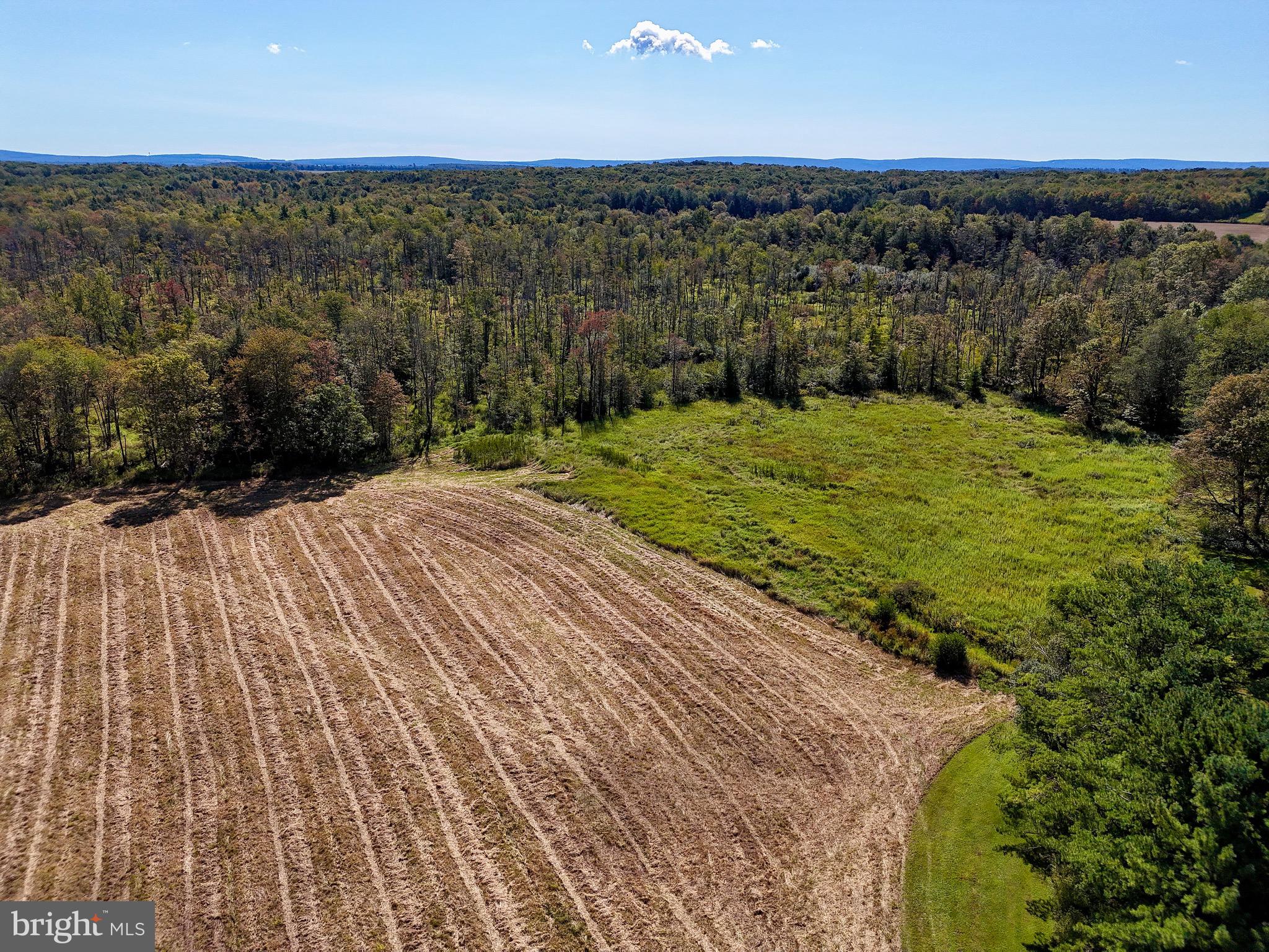 1360 Coleman Station Road Friedens, PA 15541 - Photo 10 of 20