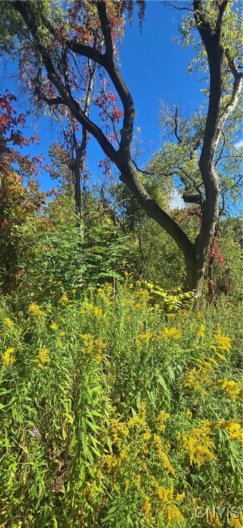 3225 Snowden Hill Road Sauquoit, NY 13456 - Photo 4 of 7