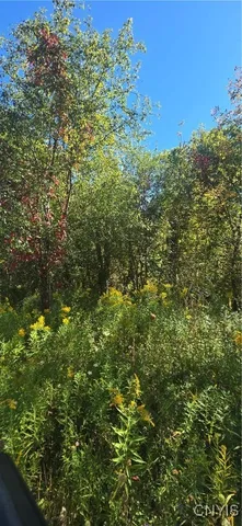 $25,000 | 3225 Snowden Hill Road, Sauquoit, NY 13456