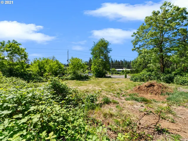 a view of backyard with green space