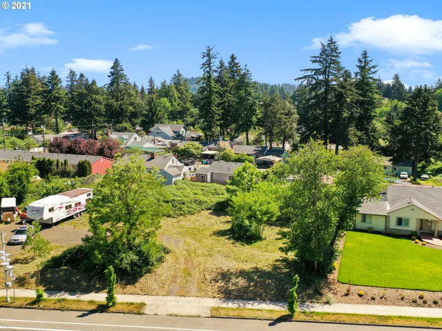 a picture of street with lots of plants and trees