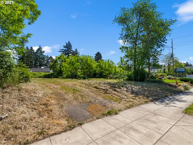 a view of a yard with an trees