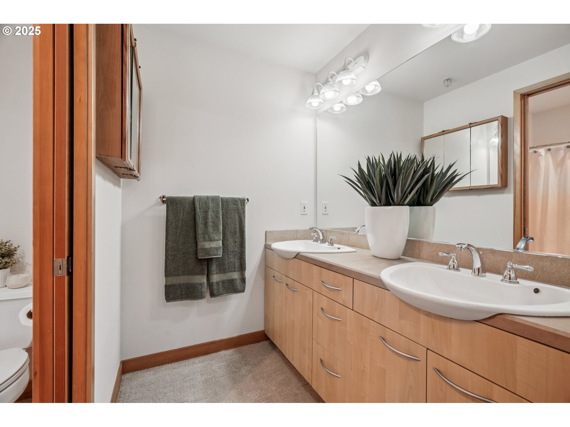 300 West 8th Street, Unit 206 Vancouver, WA 98660 - Photo 25 of 42 a bathroom with a sink a potted plant and a mirror