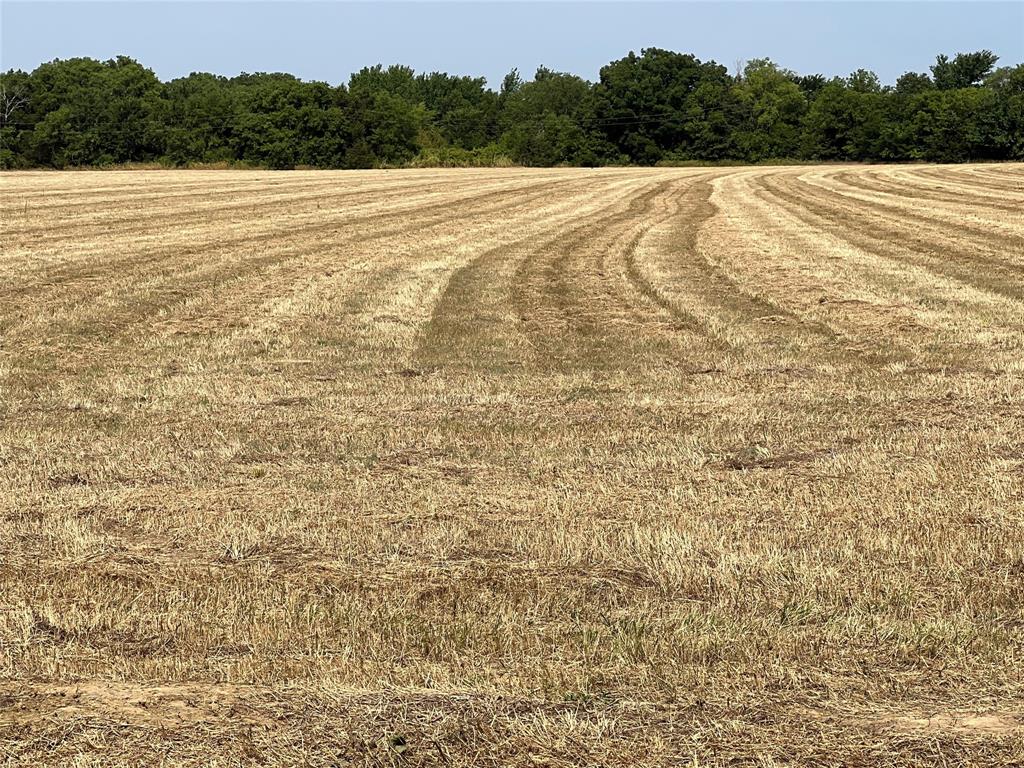 Lot 5 Rodgers Road Sadler, TX 76264 - Photo 2 of 5 a view of an ocean and beach