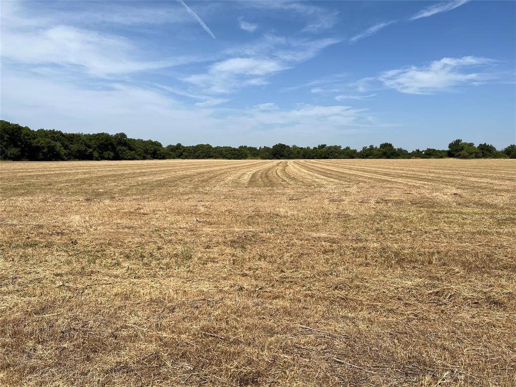 Lot 5 Rodgers Road Sadler, TX 76264 - Photo 3 of 5 a view of a lake view