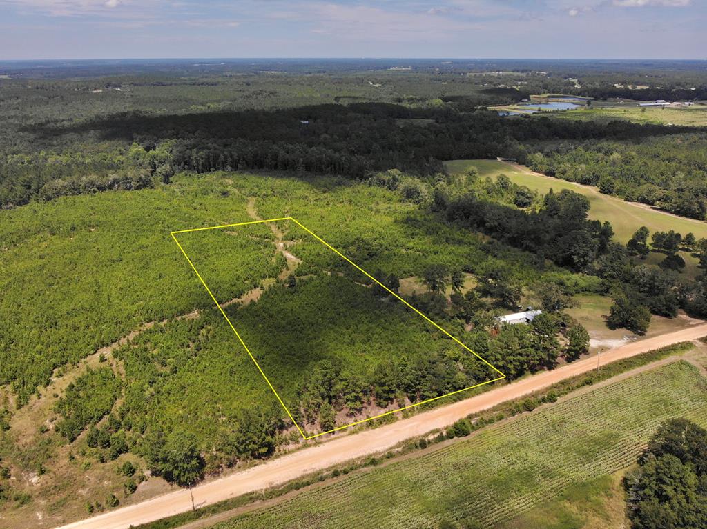 6-ac Old Elba Road Coffee Springs, AL 36318 - Photo 12 of 15