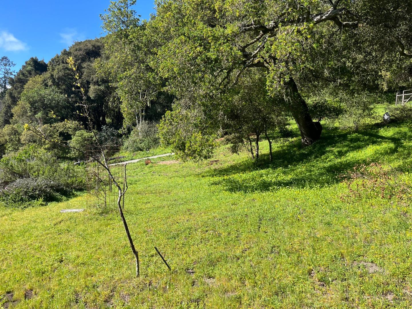 0 Baker Road Aptos, CA 95003 - Photo 21 of 29 a yard with a tree