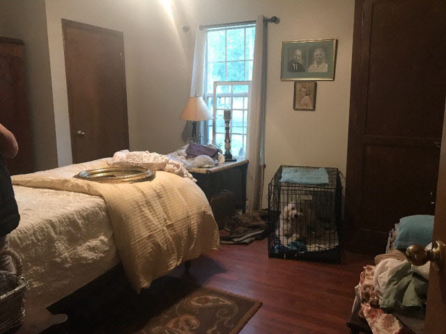 23113 Rochelle Loop Robertsdale, AL 36567 - Photo 9 of 25