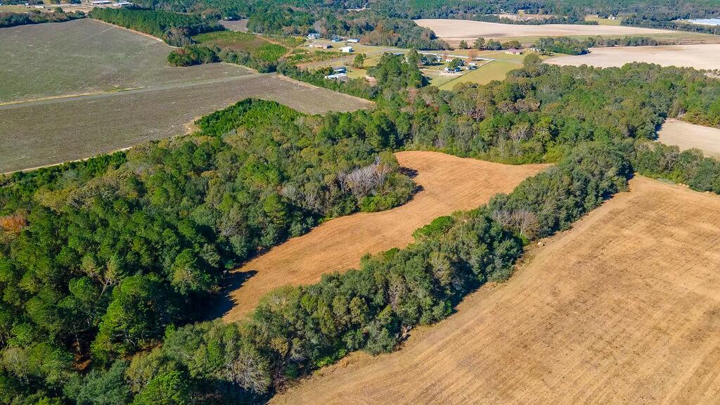 0 New Holland Road Batesburg, SC 29006 - Photo 7 of 25