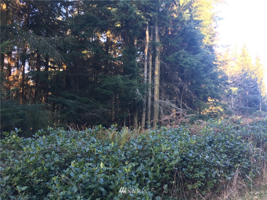 1111 Squire Road Coupeville, WA 98239 - Photo 14 of 22 Gallery Image 14