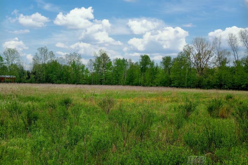 58-acres Northeast County Line Road Coleman, MI 48618 - Photo 43 of 45