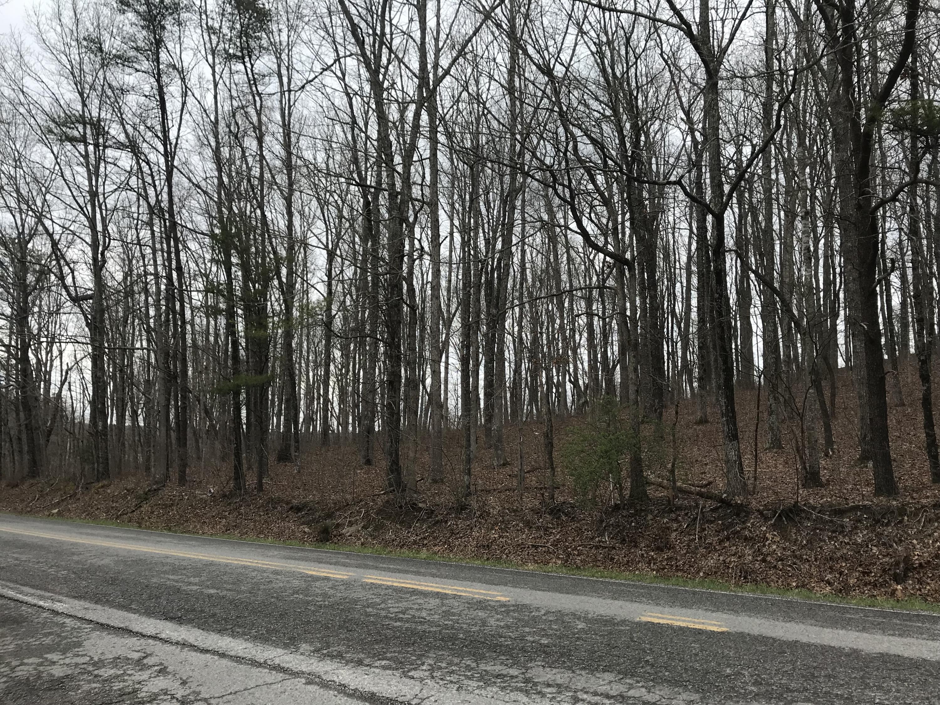 0 Hendon Road, Unit 6&7 Graysville, TN 37338 - Photo 2 of 4 0 Hendon Rd view 1