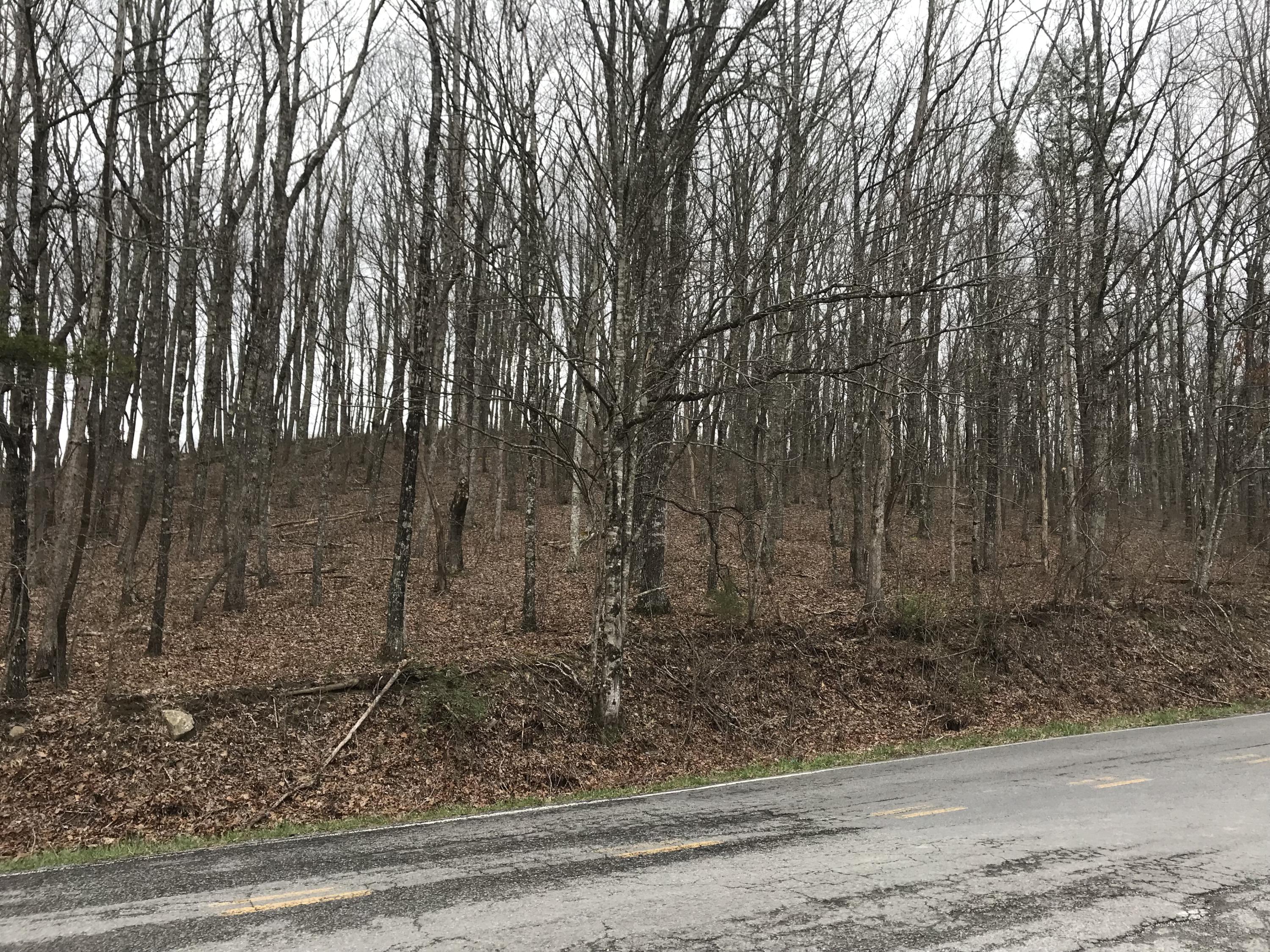 0 Hendon Road, Unit 6&7 Graysville, TN 37338 - Photo 3 of 4 0 Hendon Rd view