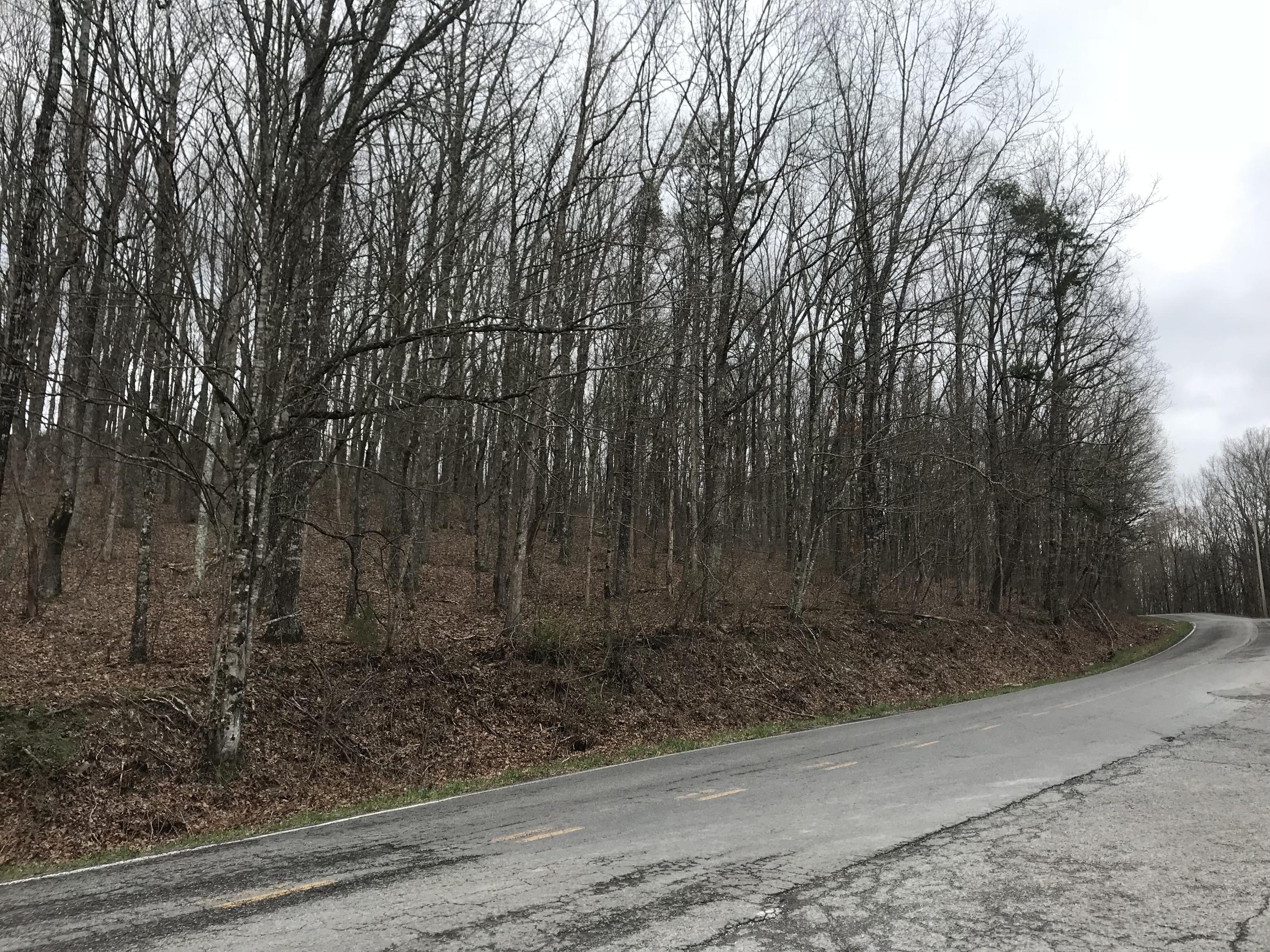 0 Hendon Road, Unit 6&7 Graysville, TN 37338 - Photo 4 of 4 0 Hendon Rd 4