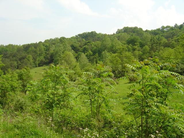 9999 Old Corbin Road London, KY 40744 - Photo 46 of 53 Photo 46