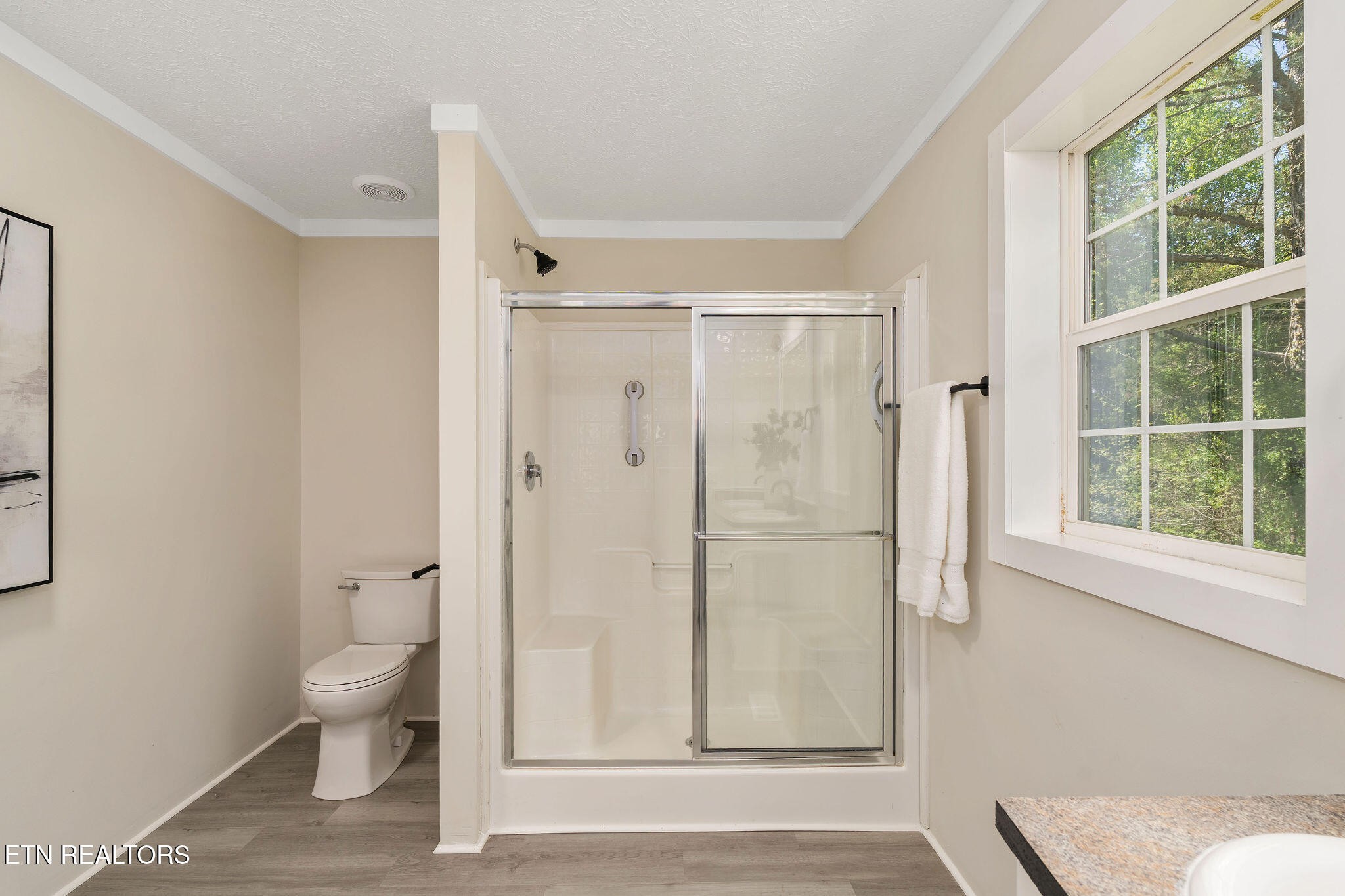 110 Keller Road Afton, TN 37616 - Photo 28 of 56 Gallery Image 28