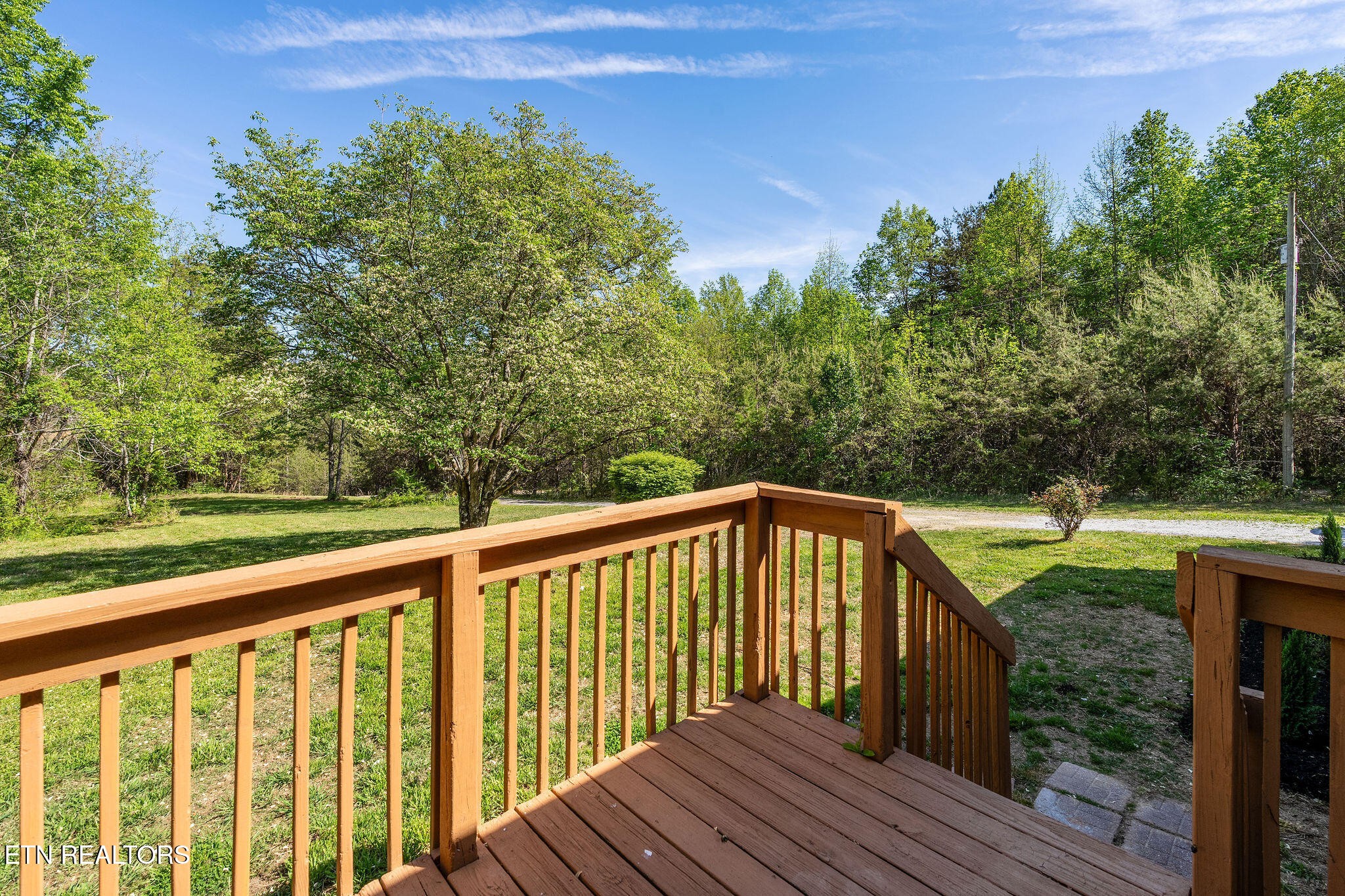 110 Keller Road Afton, TN 37616 - Photo 3 of 56 Gallery Image 3