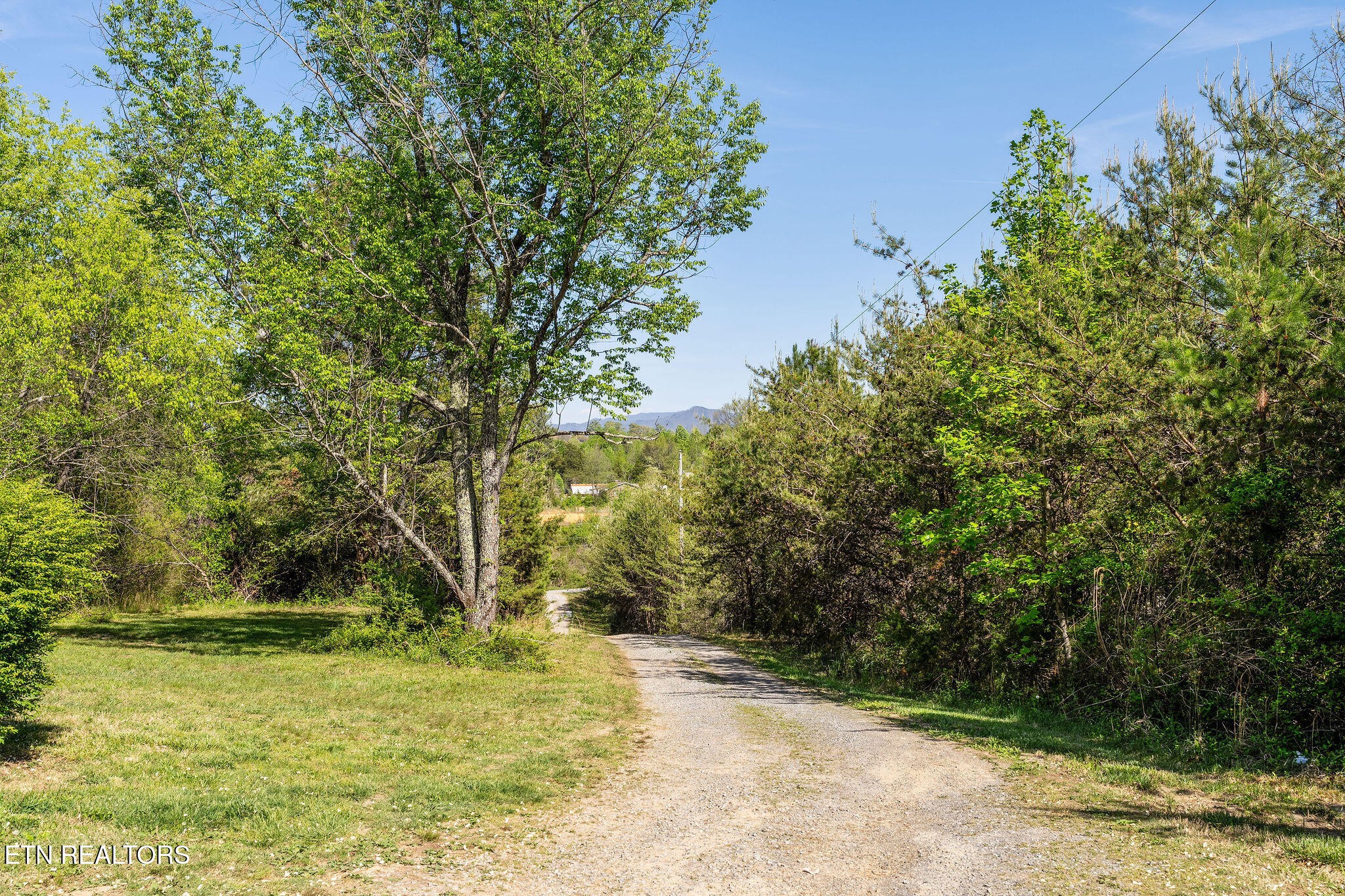 110 Keller Road Afton, TN 37616 - Photo 48 of 56 Gallery Image 48