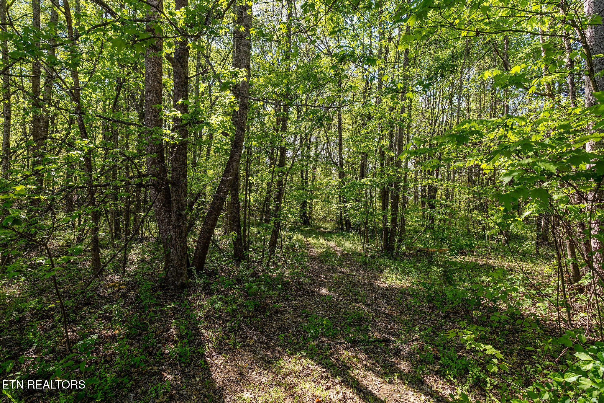 110 Keller Road Afton, TN 37616 - Photo 52 of 56 Gallery Image 52